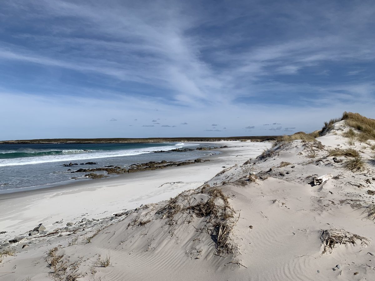 Have you seen a penguin&nbsp;yet?