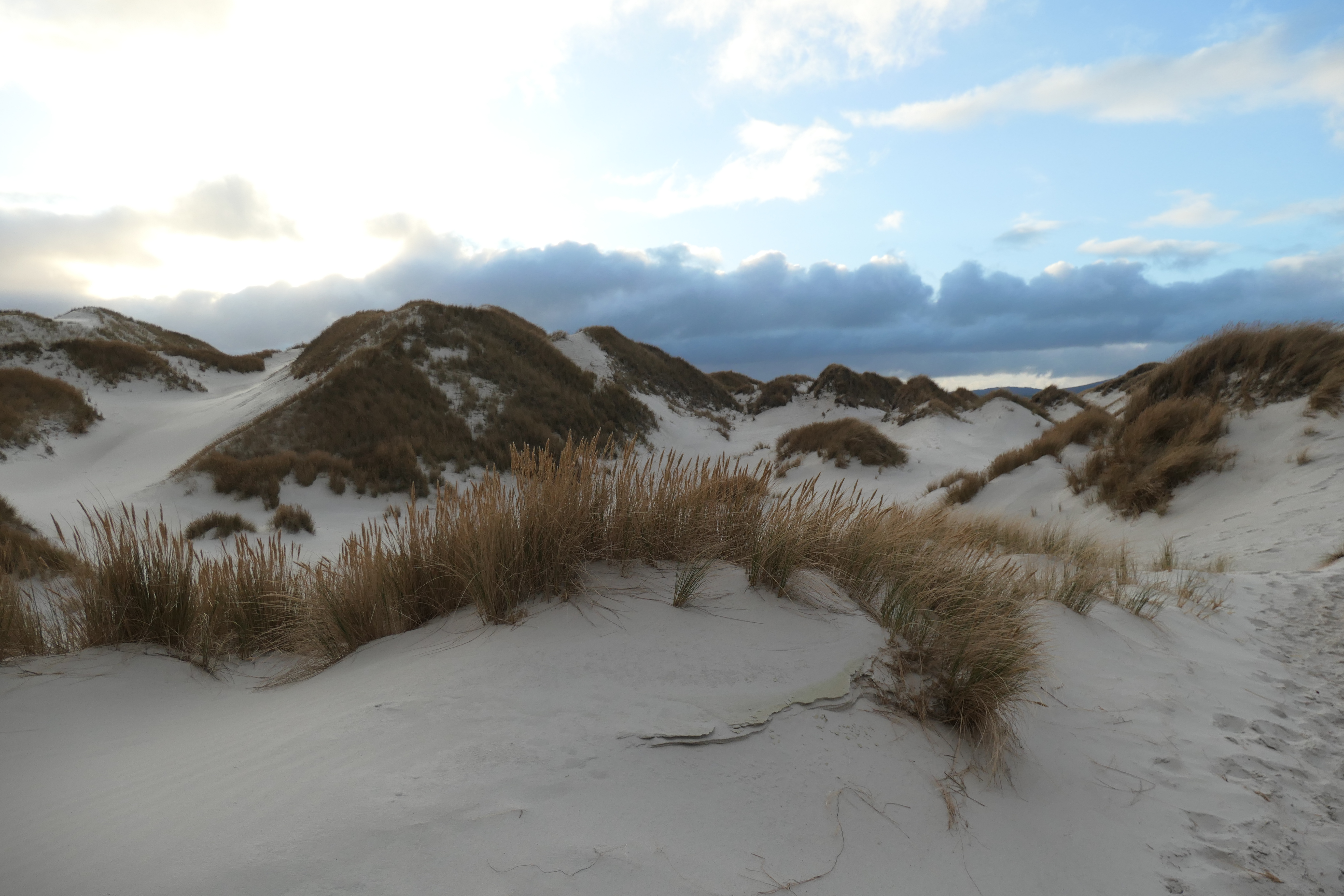 Post-work activities…