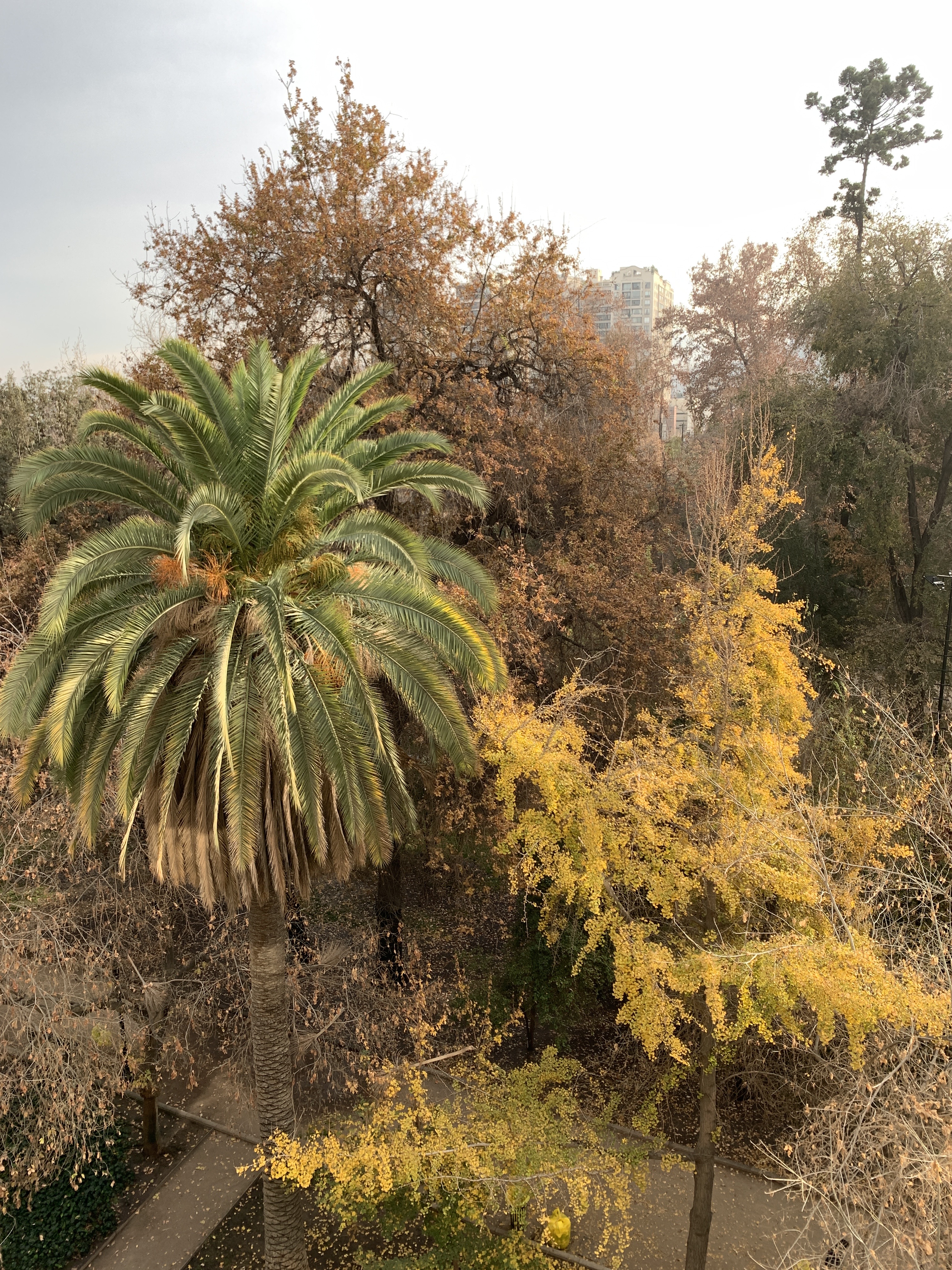 A Tale of Two Cities – Santiago de&nbsp;Chile