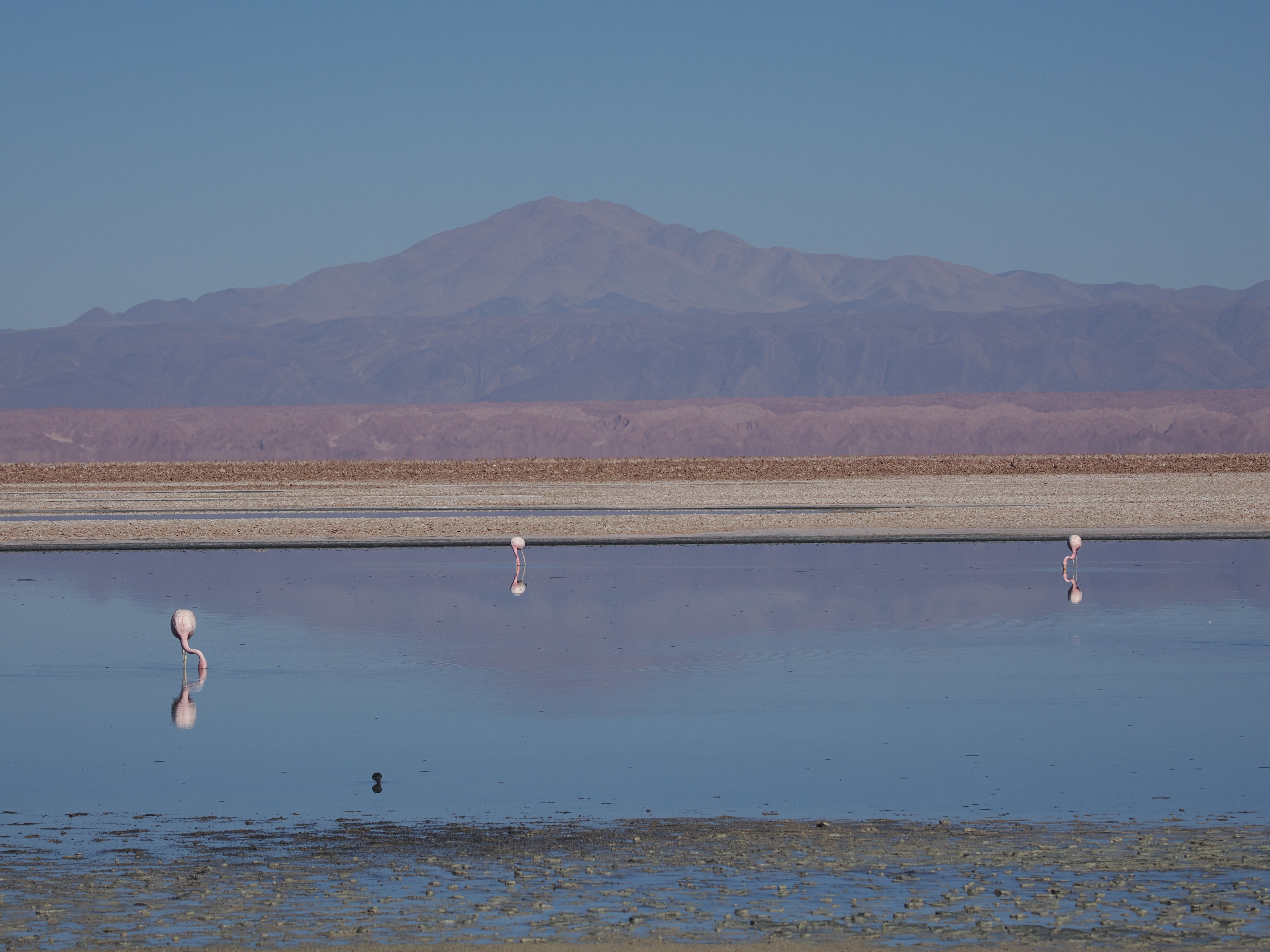 A spring break in San Pedro de&nbsp;Atacama